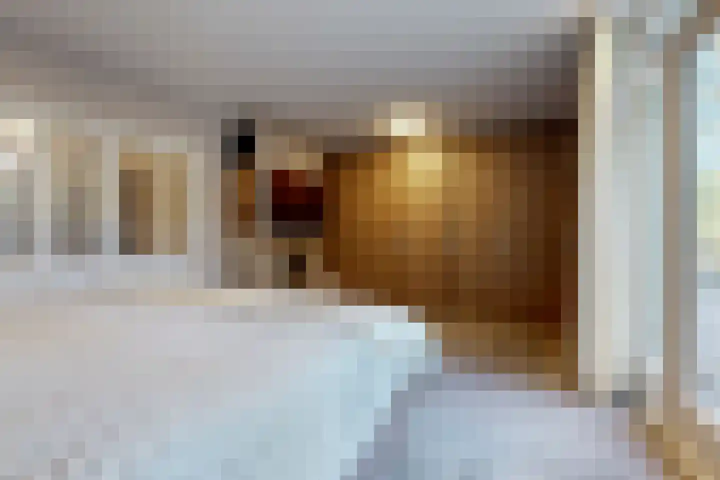 Julianalaan 77 Bilthoven thumbnail 25