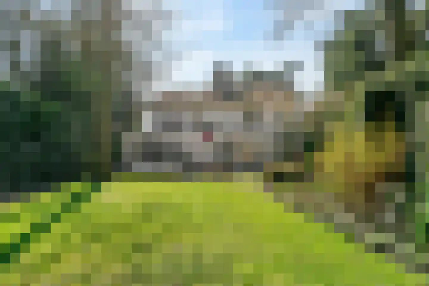Julianalaan 77 Bilthoven foto 3