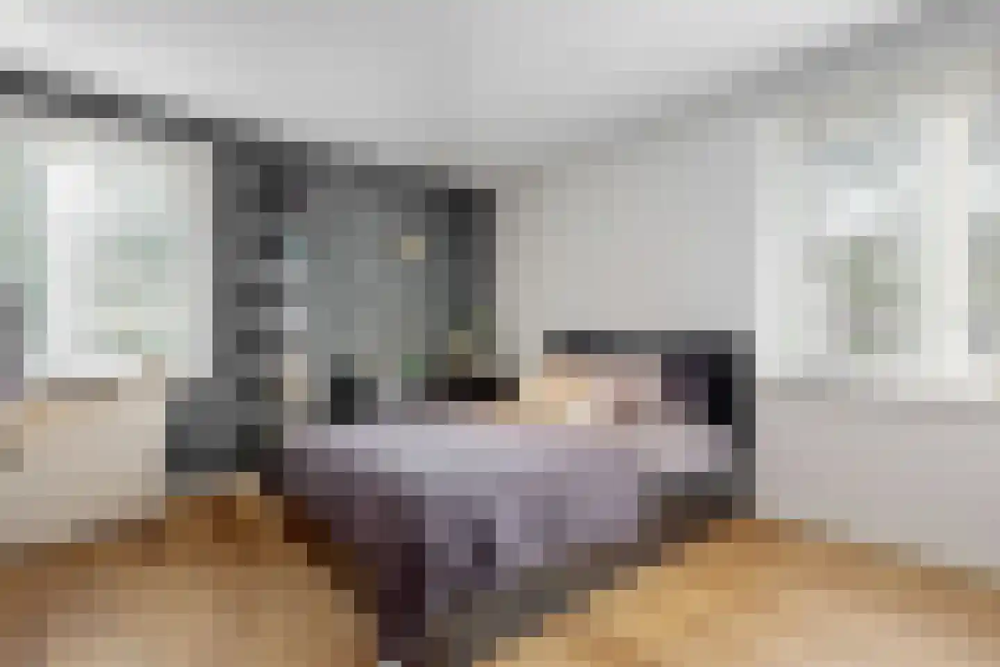 Julianalaan 77 Bilthoven thumbnail 34