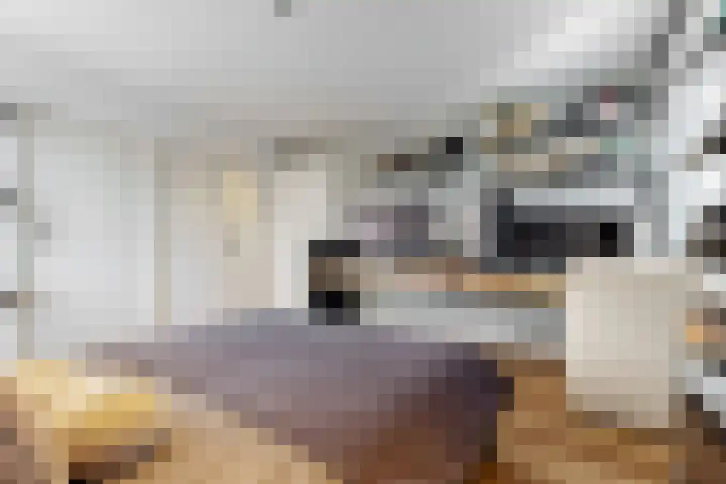 Julianalaan 77 Bilthoven thumbnail 36