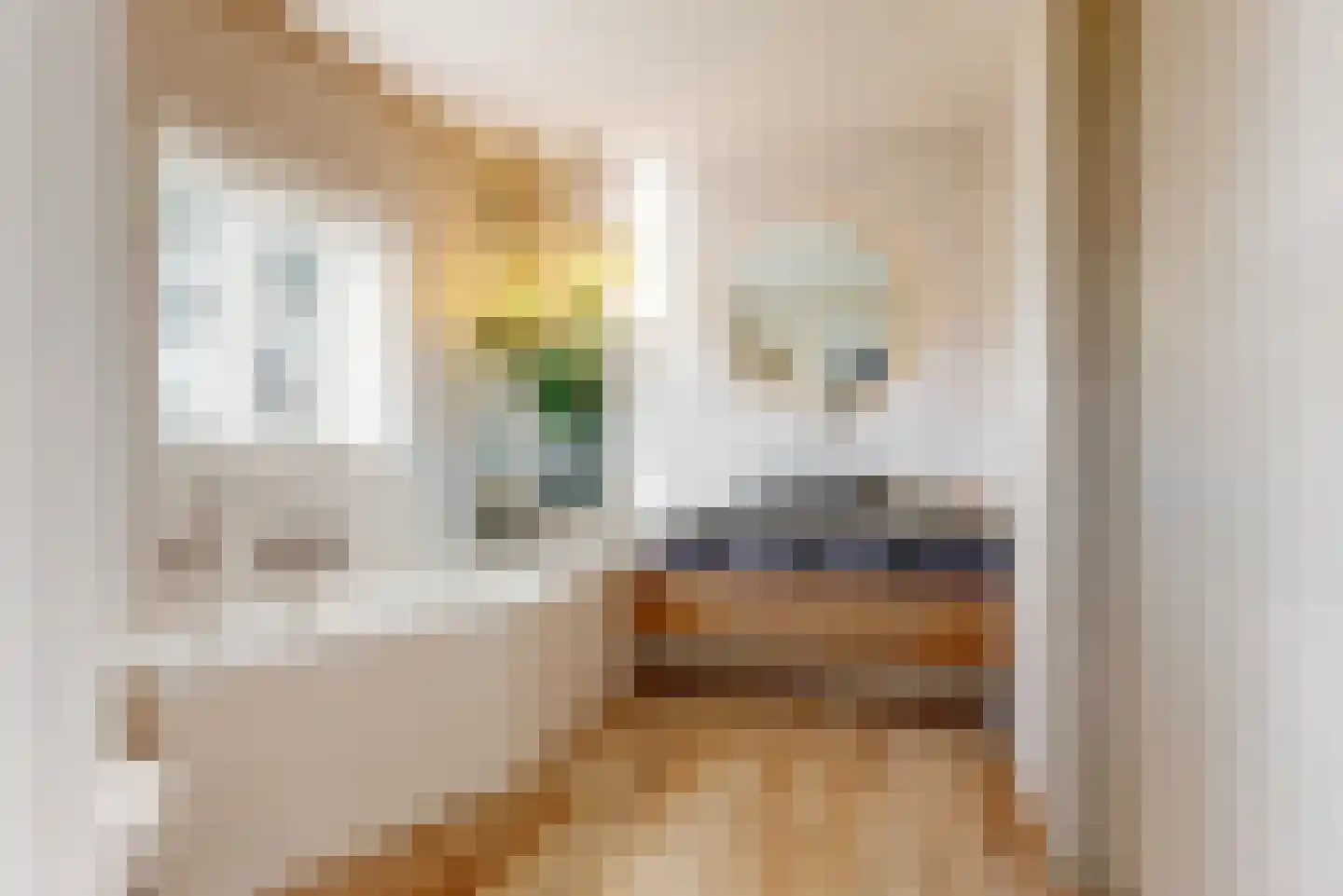 Julianalaan 77 Bilthoven thumbnail 44