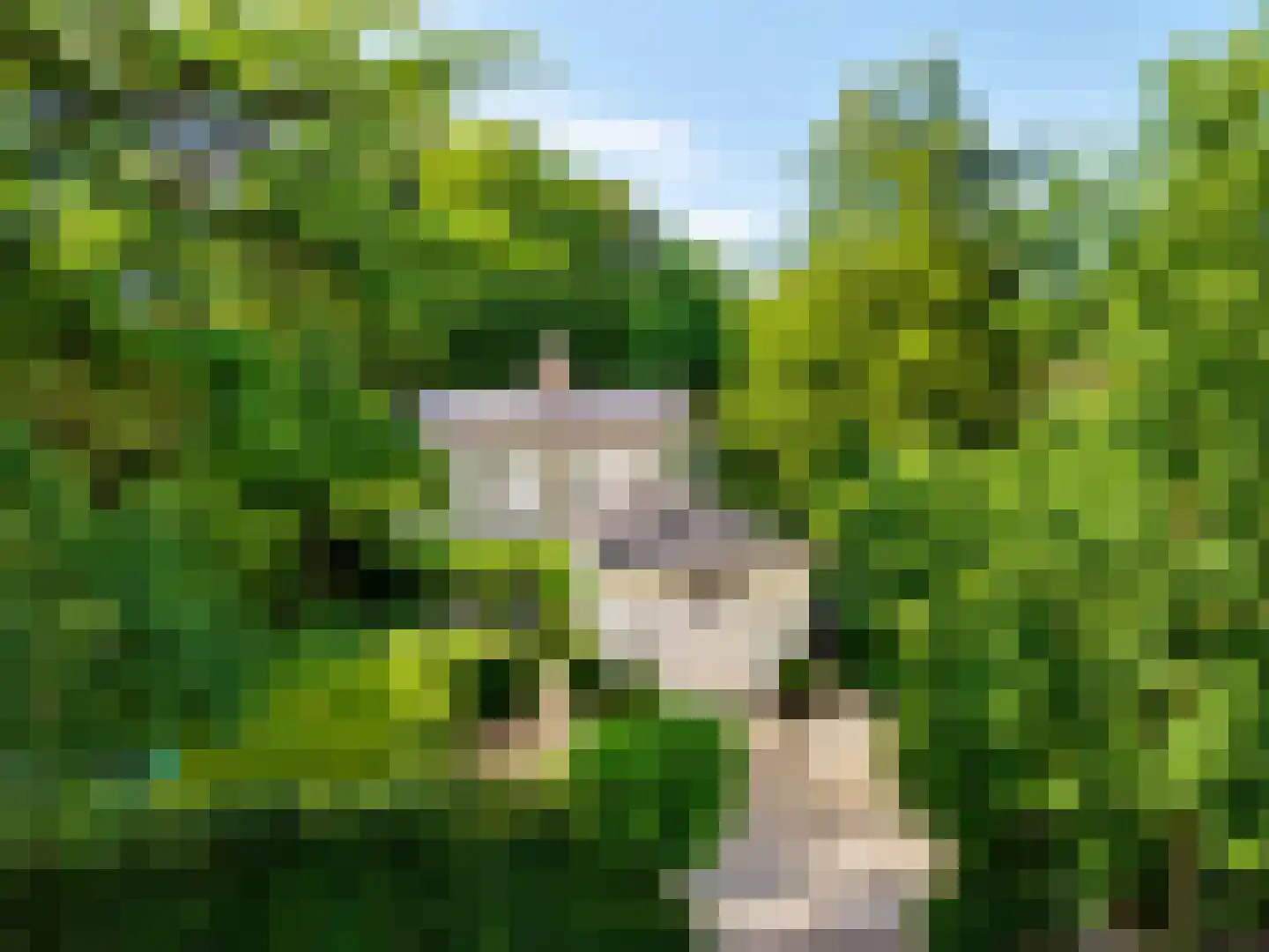 Julianalaan 77 Bilthoven thumbnail 51