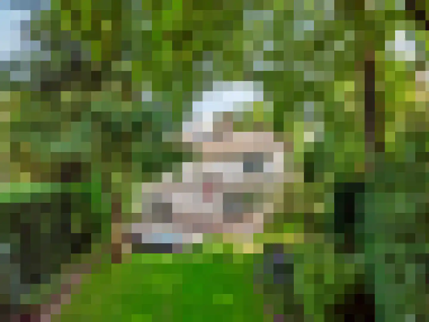 Julianalaan 77 Bilthoven thumbnail 52