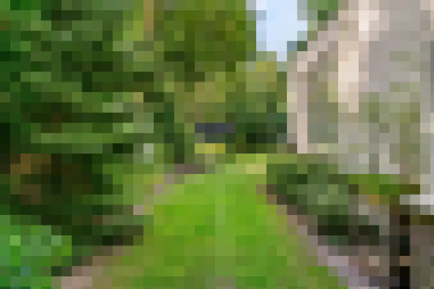 Julianalaan 77 Bilthoven thumbnail 61