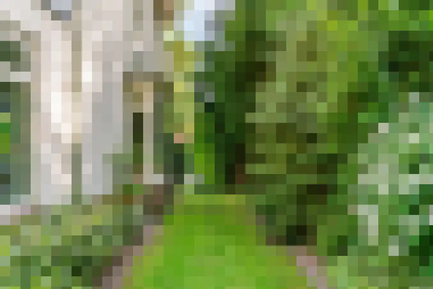 Julianalaan 77 Bilthoven thumbnail 62