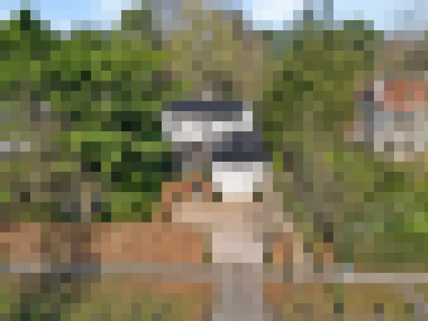 Julianalaan 77 Bilthoven thumbnail 62