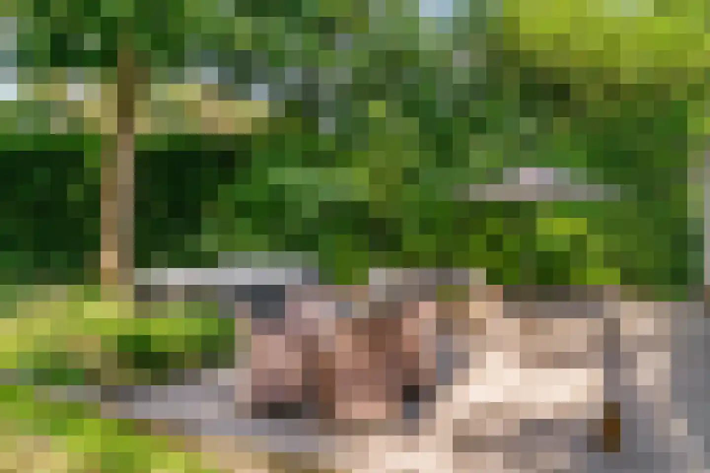 Julianalaan 77 Bilthoven thumbnail 64