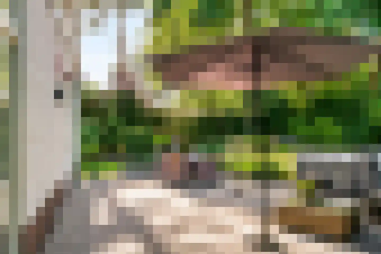 Julianalaan 77 Bilthoven thumbnail 66