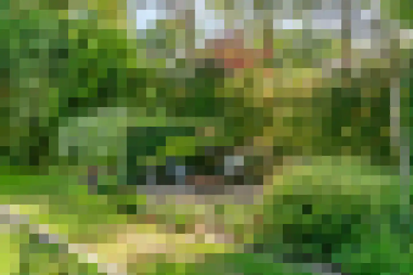 Julianalaan 77 Bilthoven thumbnail 69