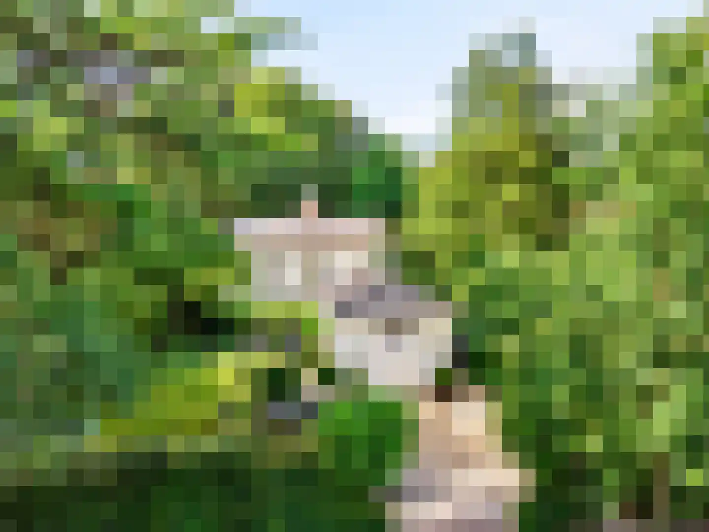 Julianalaan 77 Bilthoven thumbnail 72