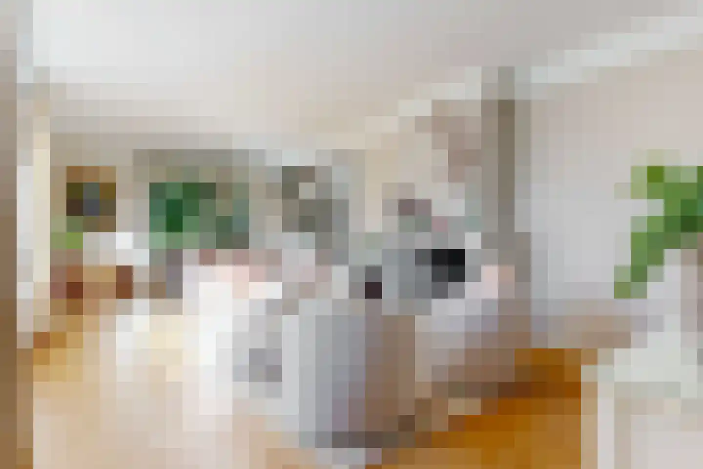 Julianalaan 77 Bilthoven thumbnail 8