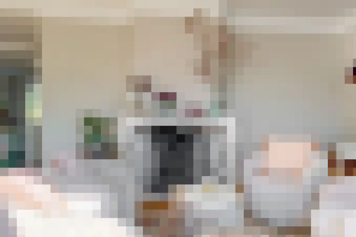Julianalaan 77 Bilthoven thumbnail 9
