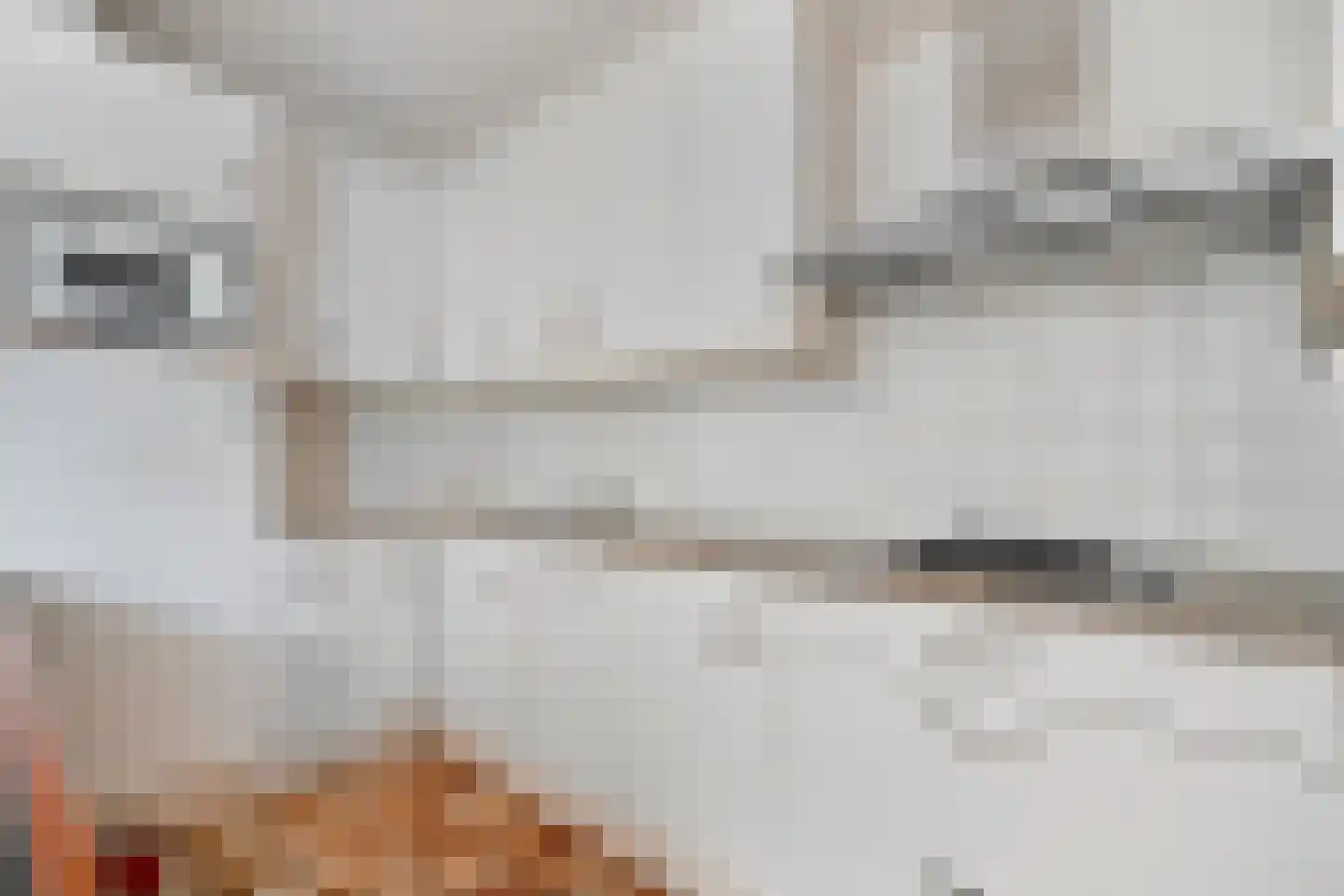 Julianalaan 8 Delft thumbnail 10