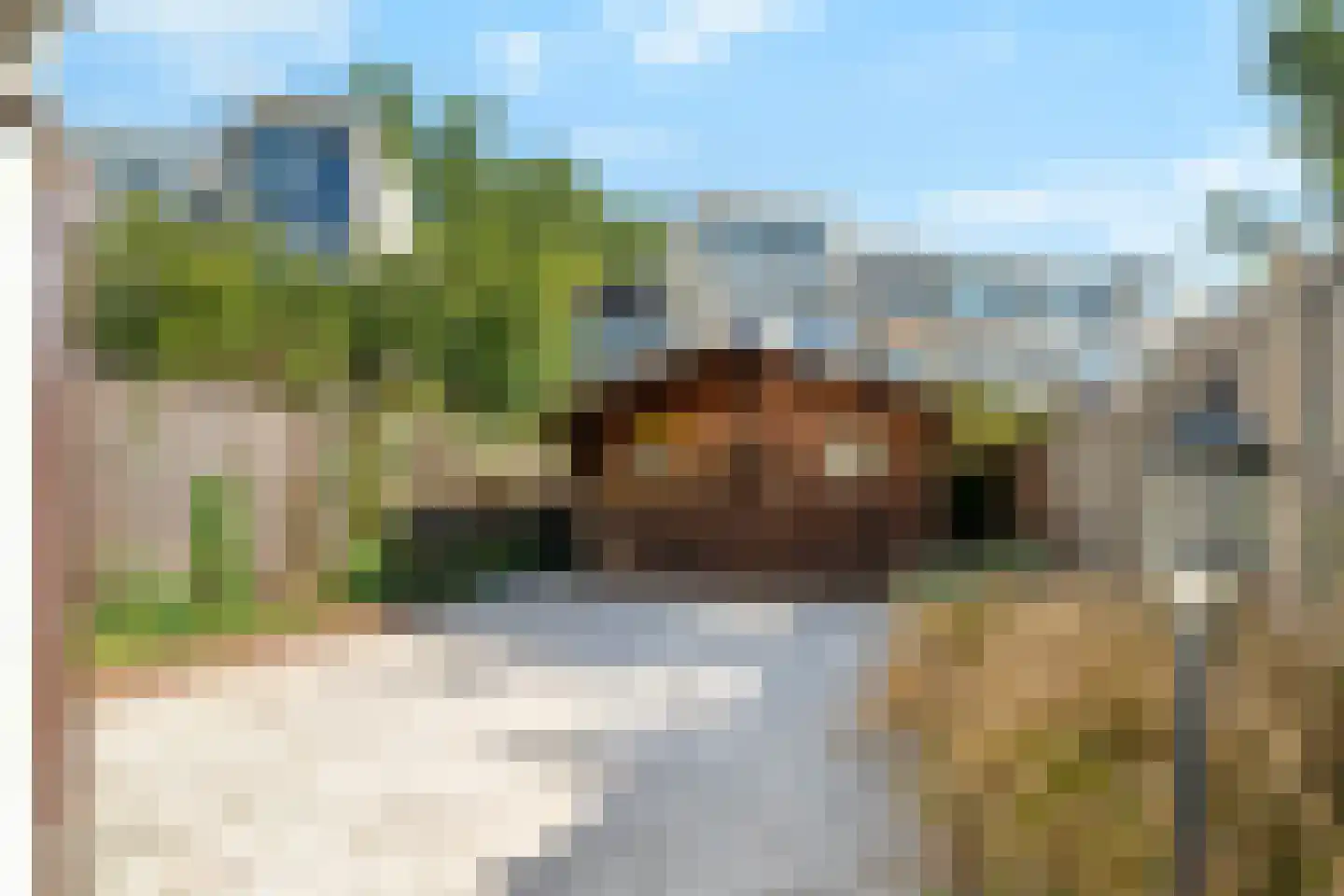 Julianalaan 8 Delft thumbnail 12