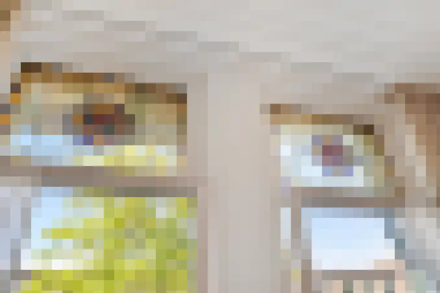 Julianalaan 8 Delft thumbnail 29