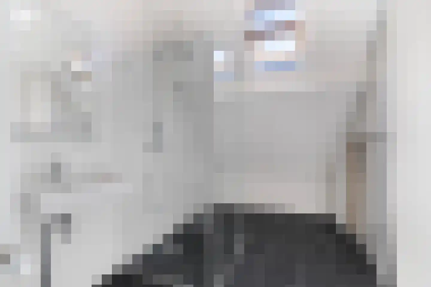 Julianalaan 8 Delft thumbnail 36