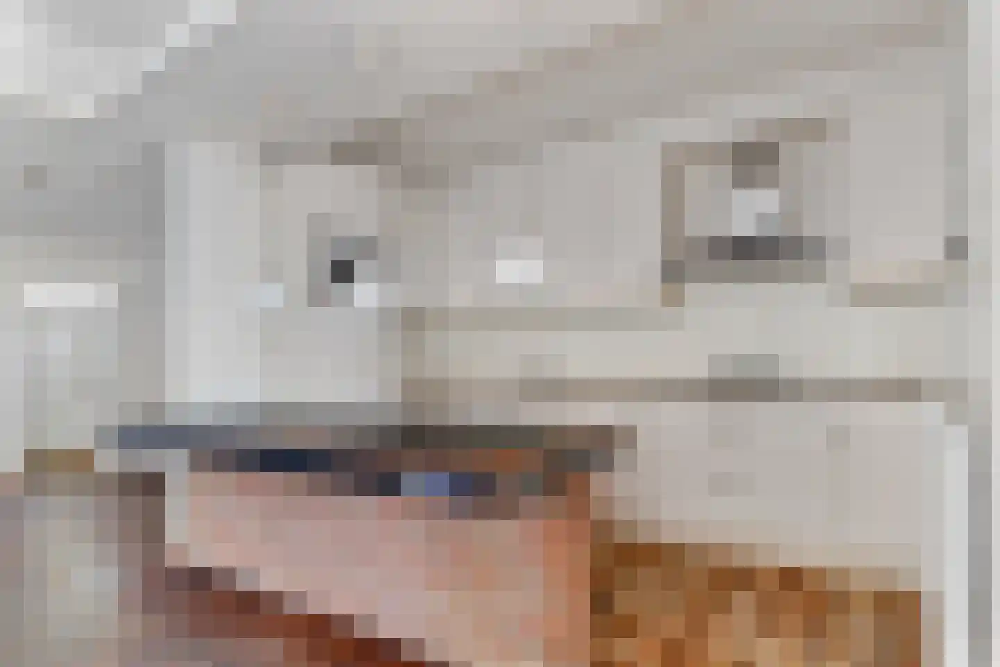 Julianalaan 8 Delft thumbnail 9