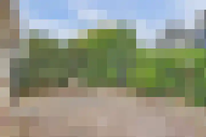 Julianalaan 8 Midlum thumbnail 20
