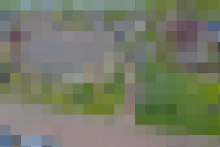 Julianalaan 8 Midlum thumbnail 21
