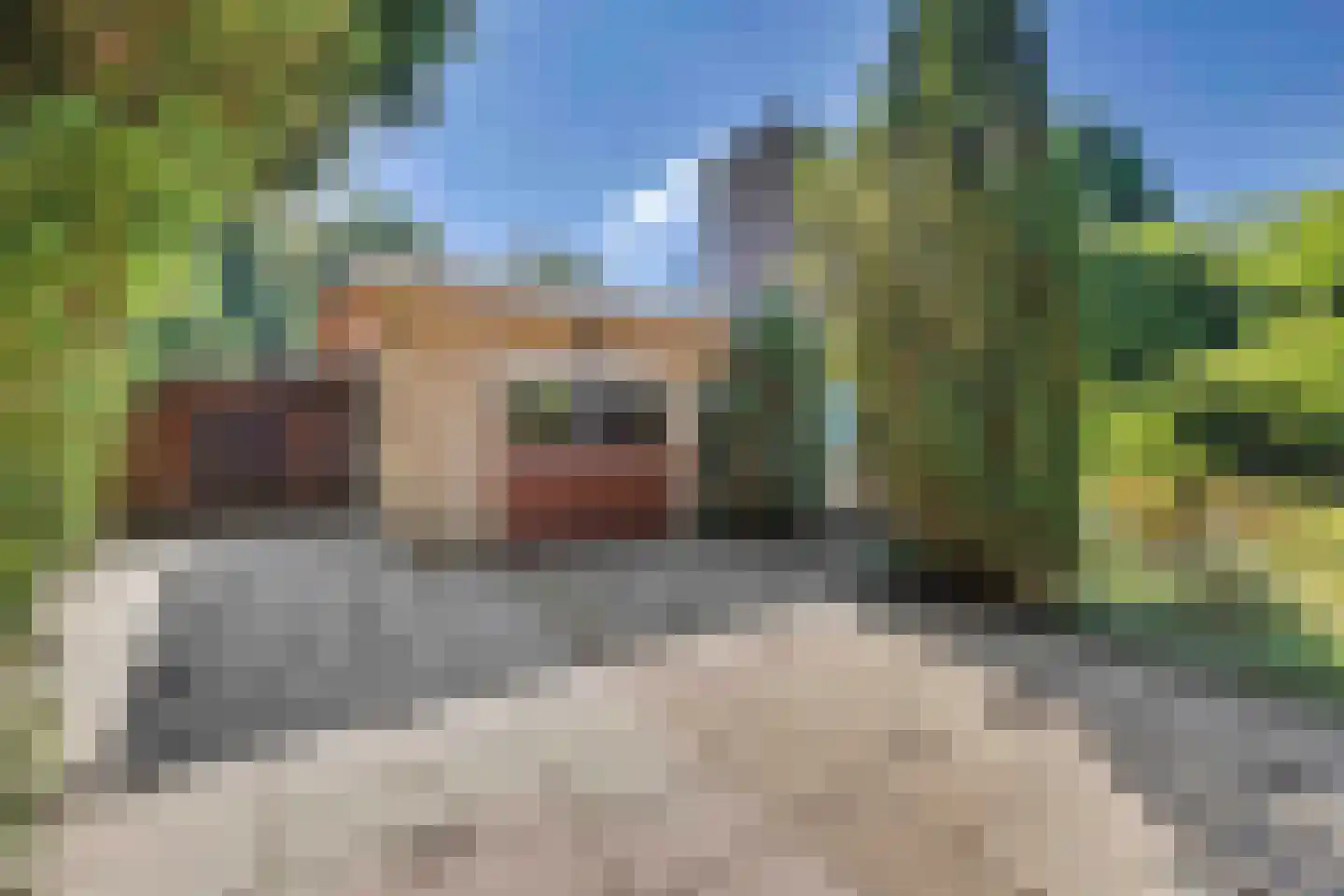 Julianalaan 8 's Gravenmoer thumbnail 10