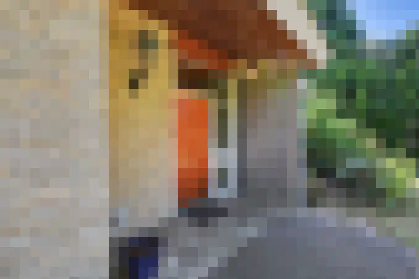 Julianalaan 8 's Gravenmoer thumbnail 11