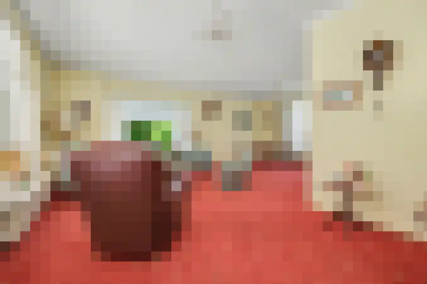 Julianalaan 8 's Gravenmoer thumbnail 18