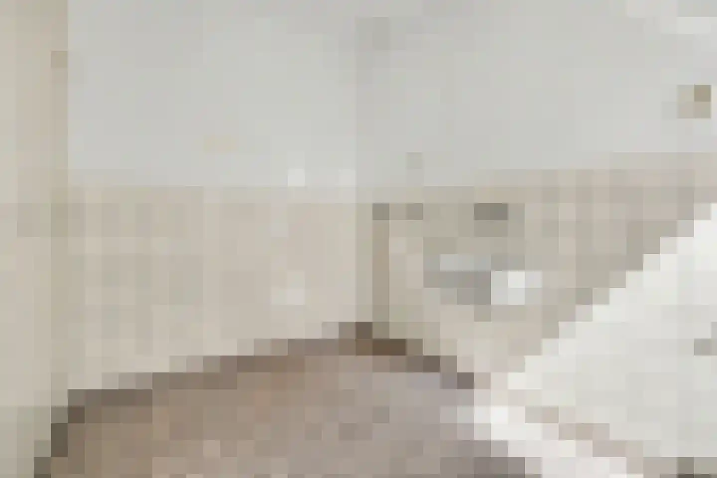 Julianalaan 8 's Gravenmoer thumbnail 24
