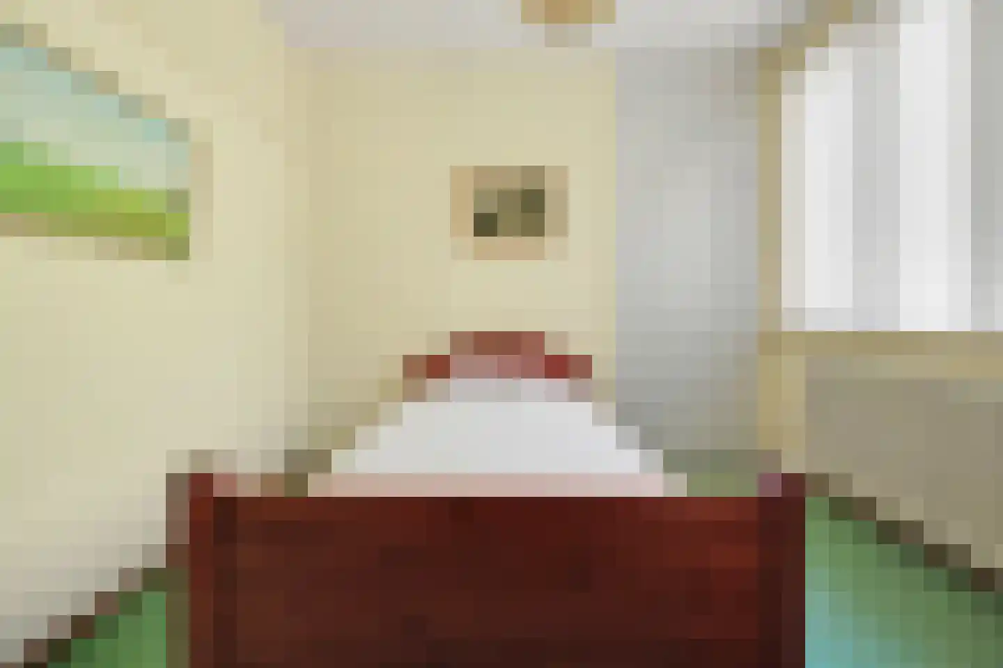 Julianalaan 8 's Gravenmoer thumbnail 32