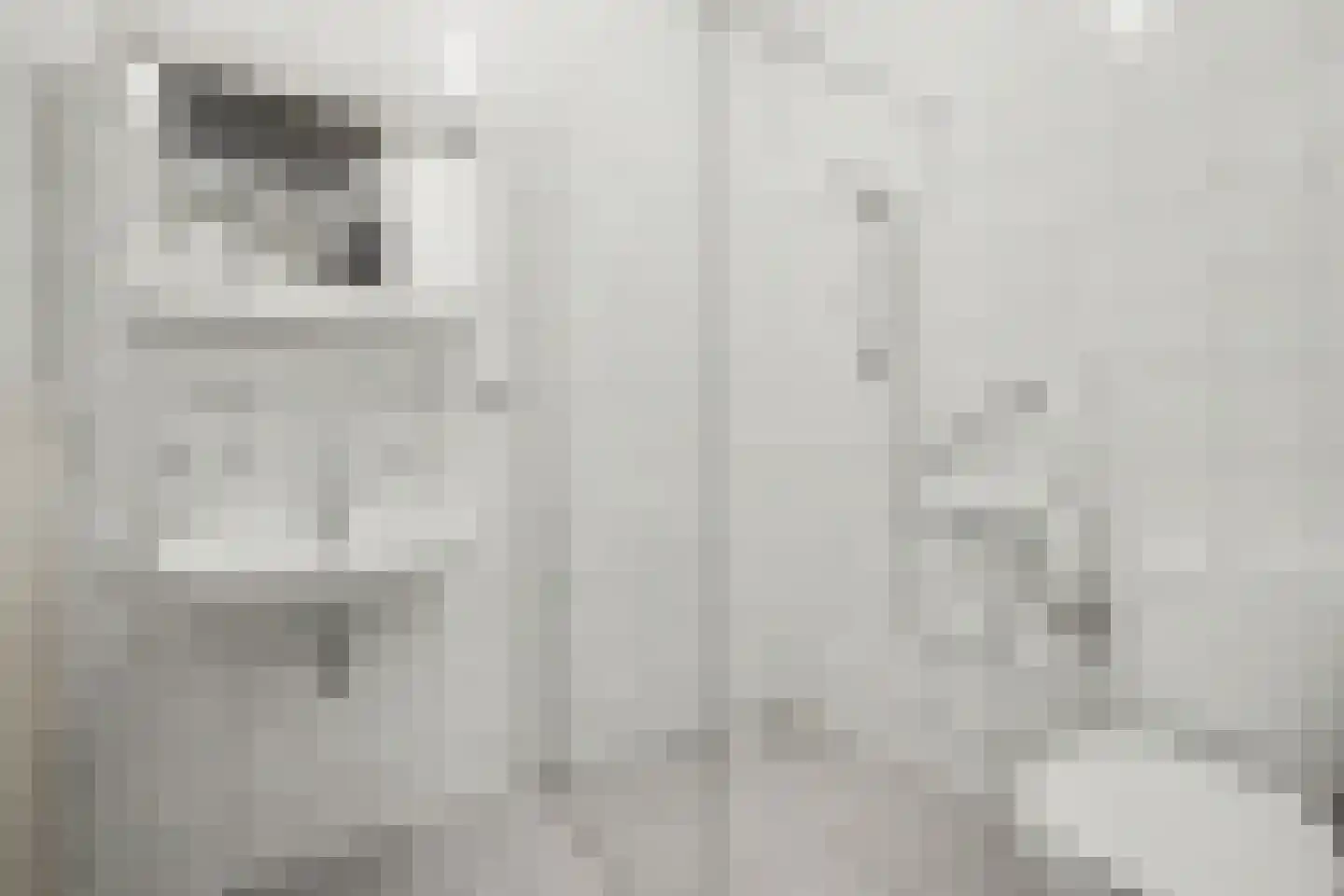 Julianalaan 8 's Gravenmoer thumbnail 37
