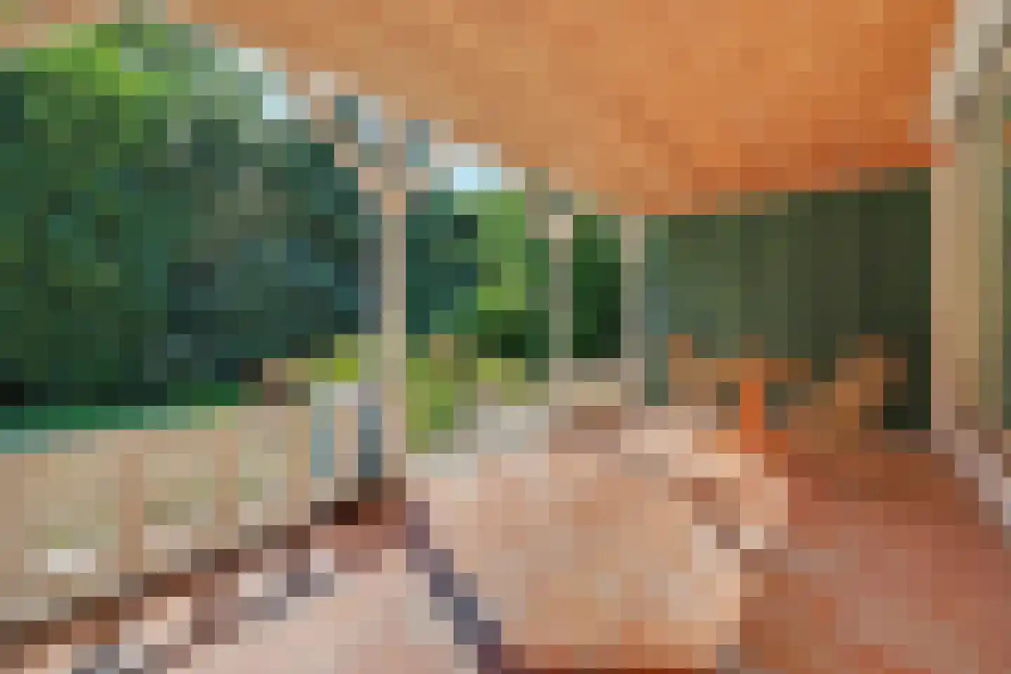 Julianalaan 8 's Gravenmoer thumbnail 4