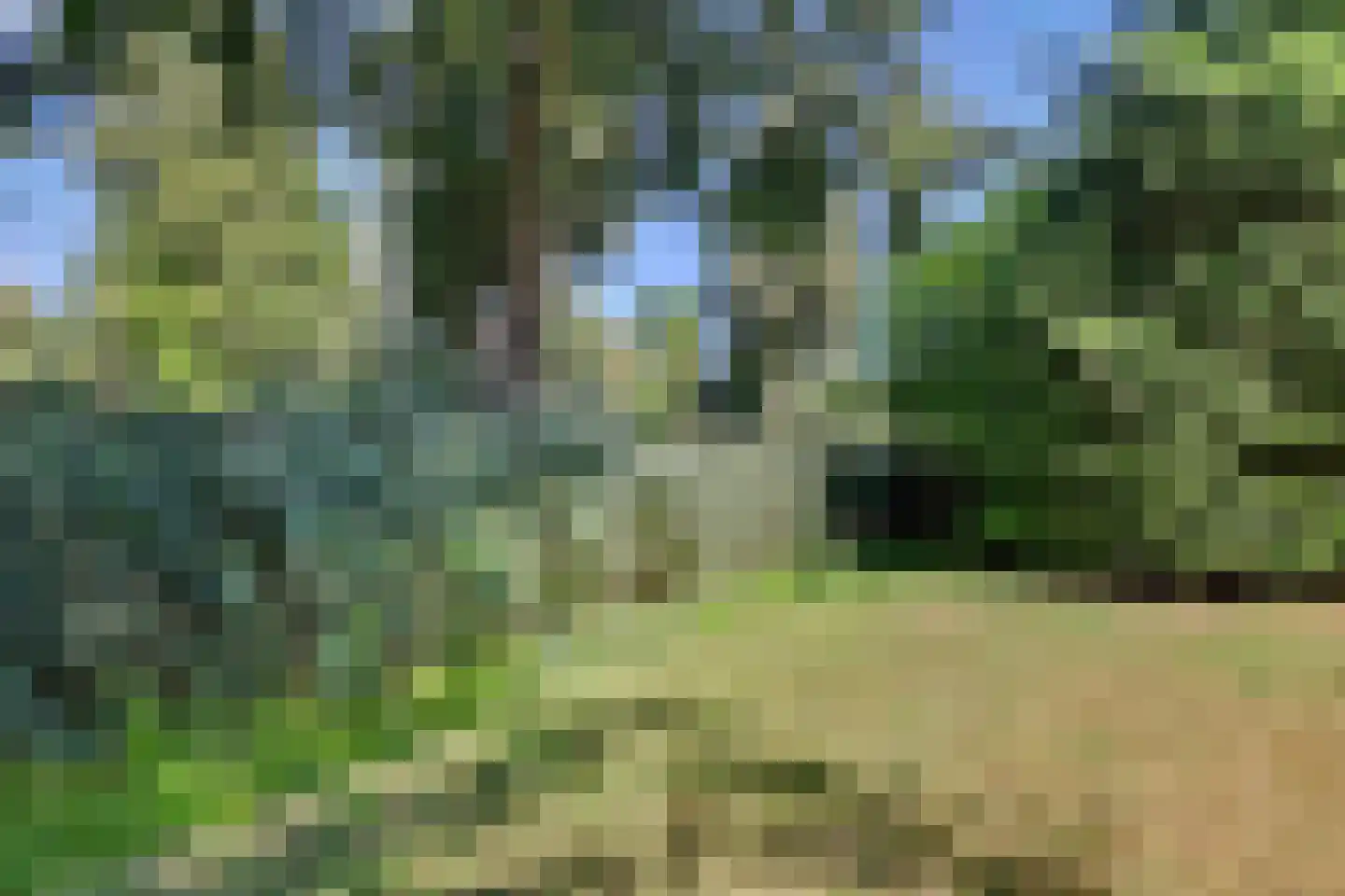Julianalaan 8 's Gravenmoer thumbnail 46