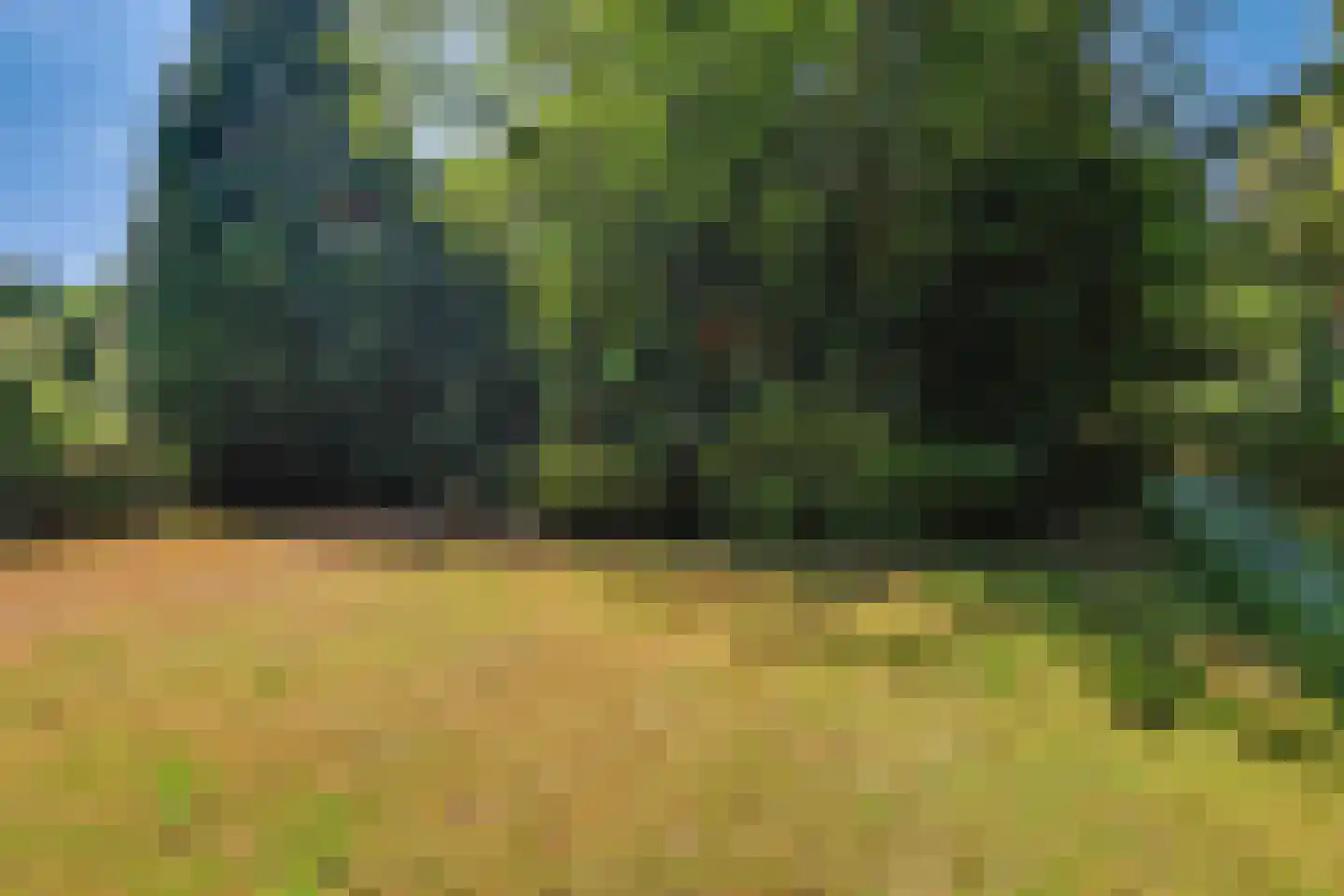 Julianalaan 8 's Gravenmoer thumbnail 47