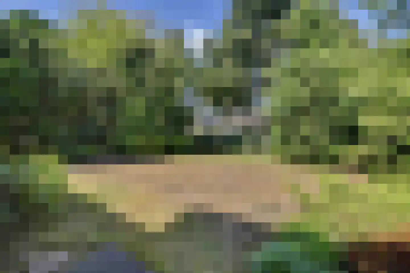 Julianalaan 8 's Gravenmoer thumbnail 48