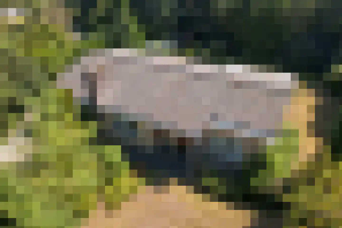 Julianalaan 8 's Gravenmoer thumbnail 49