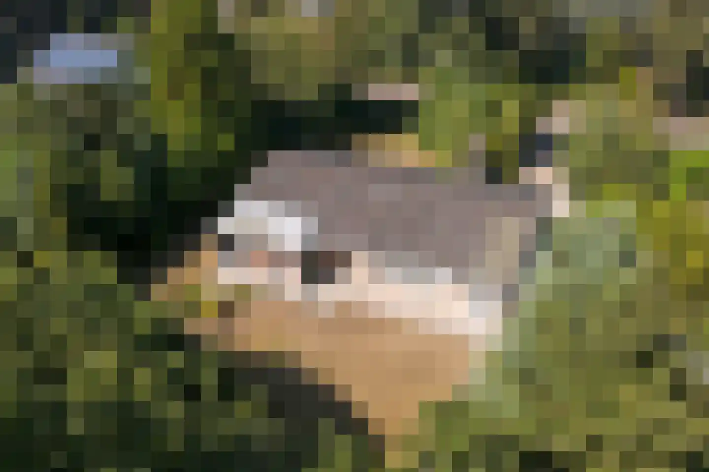 Julianalaan 8 's Gravenmoer thumbnail 6