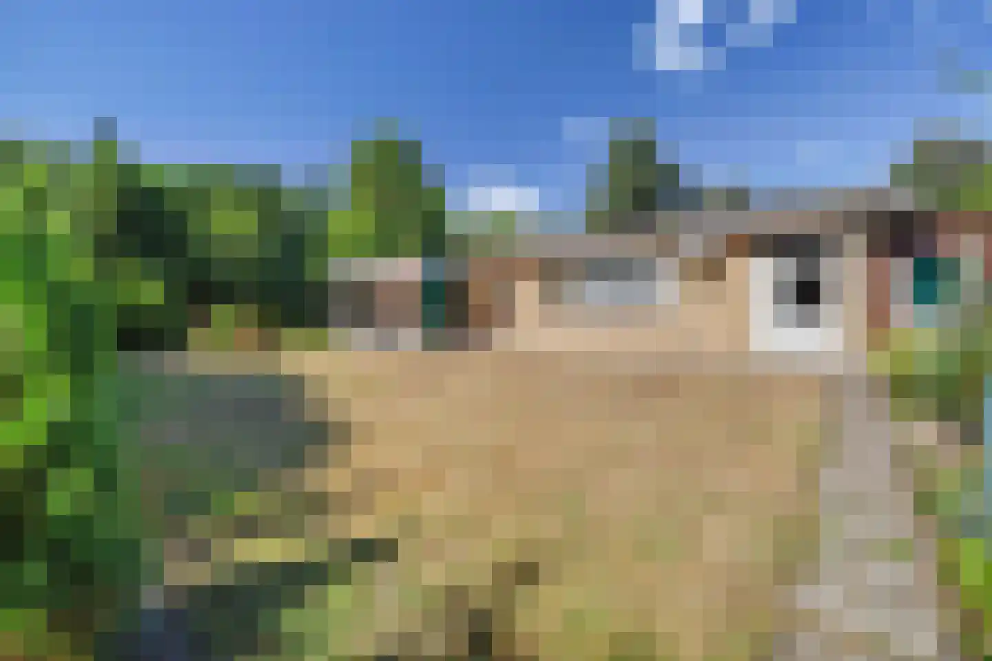 Julianalaan 8 's Gravenmoer thumbnail 7