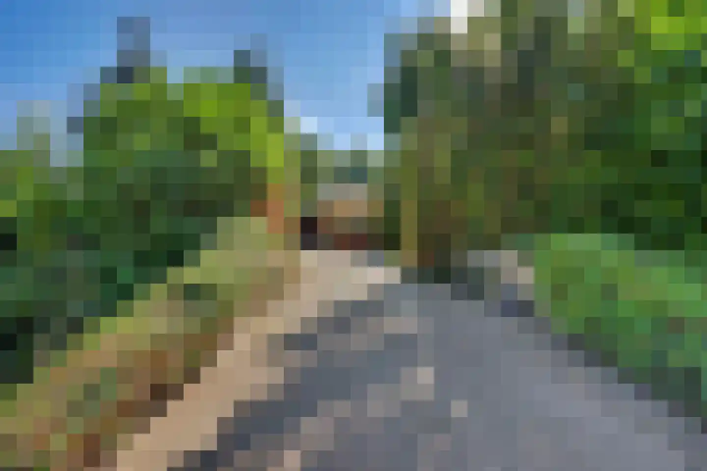 Julianalaan 8 's Gravenmoer thumbnail 9