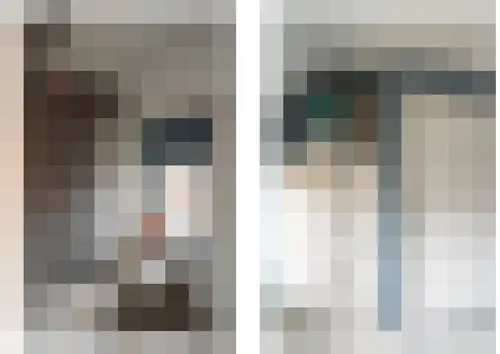 Julianalaan 8 Vorden thumbnail 25