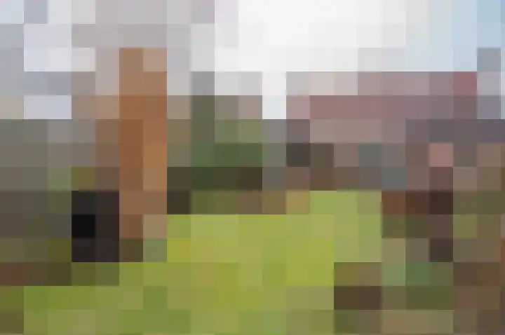 Julianalaan 8 Vorden thumbnail 28