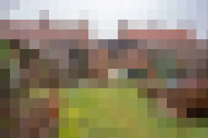Julianalaan 8 Vorden thumbnail 29