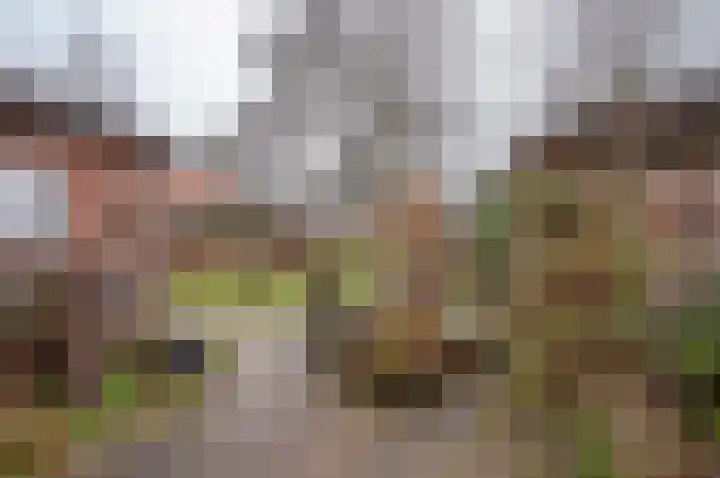Julianalaan 8 Vorden thumbnail 32