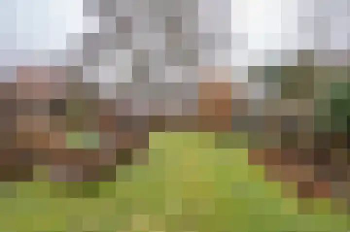 Julianalaan 8 Vorden thumbnail 33
