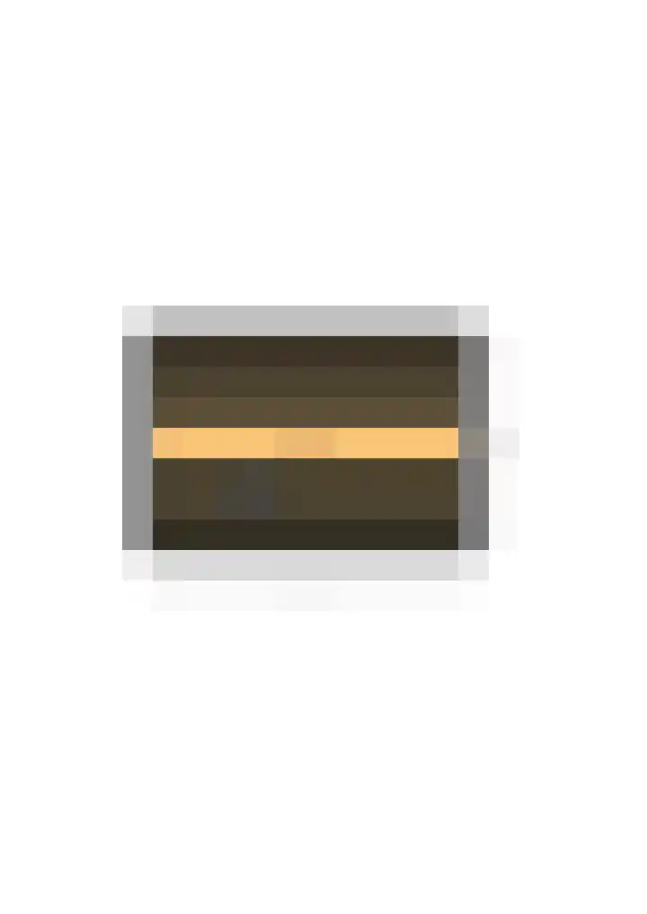 Julianalaan 8 Vorden thumbnail 41