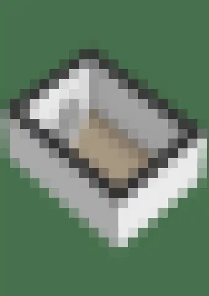 Julianalaan 8 Vorden thumbnail 44