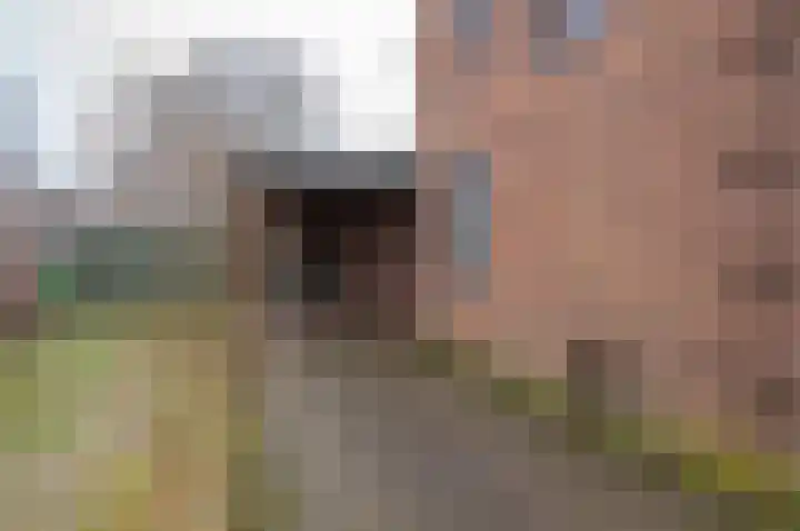 Julianalaan 8 Vorden thumbnail 5