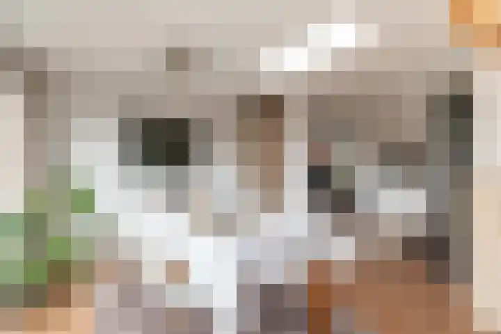 Julianalaan 80 De Rijp thumbnail 13