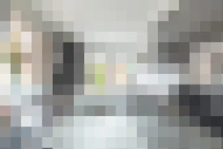 Julianalaan 80 De Rijp thumbnail 17