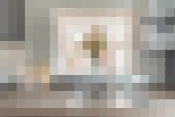 Julianalaan 80 De Rijp thumbnail 20
