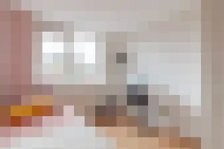 Julianalaan 80 De Rijp thumbnail 23
