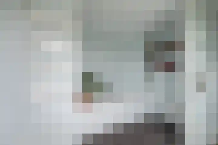 Julianalaan 80 De Rijp thumbnail 30